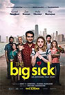 The Big Sick movie poster