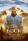 Buck movie poster