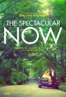 The Spectacular Now movie poster