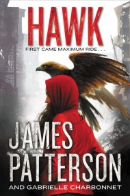 maximum ride the angel experiment character analysis